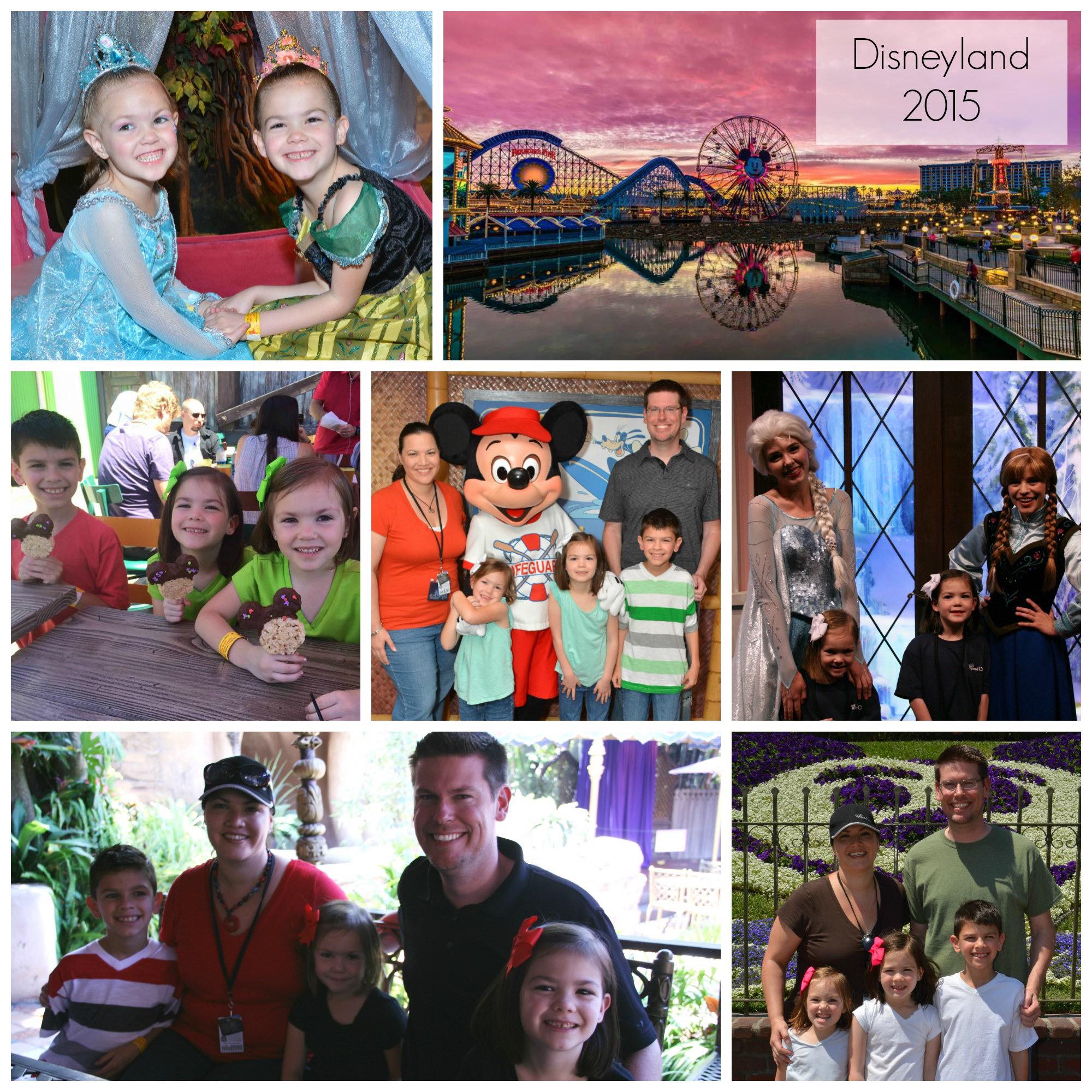 2015 - Disneyland